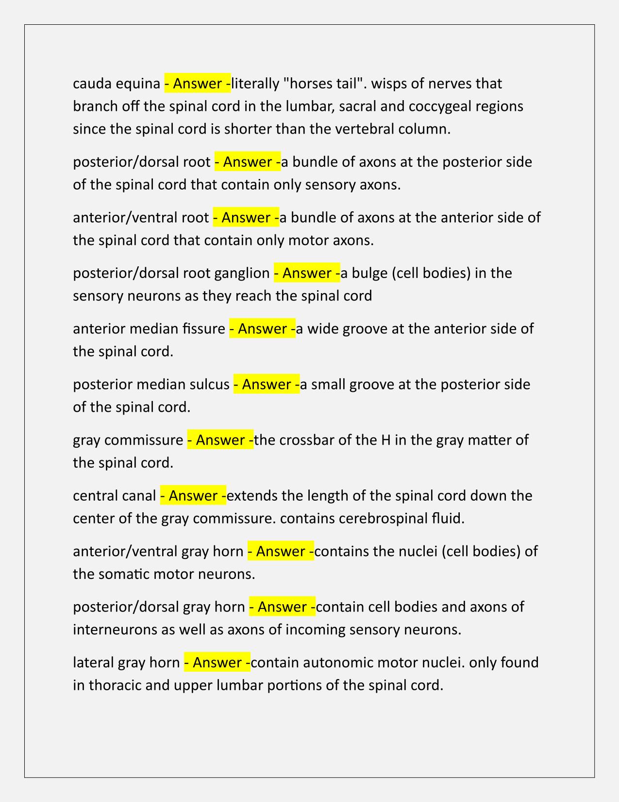BIOL 235 Chapter 13 spinal cord and spinal nerves Q&A Latest Update